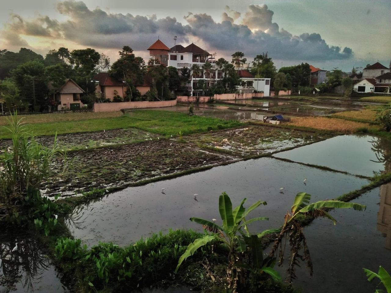 Wisma tamu Nuriani