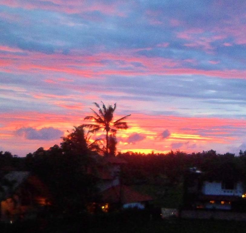 Guest house Nuriani 3*