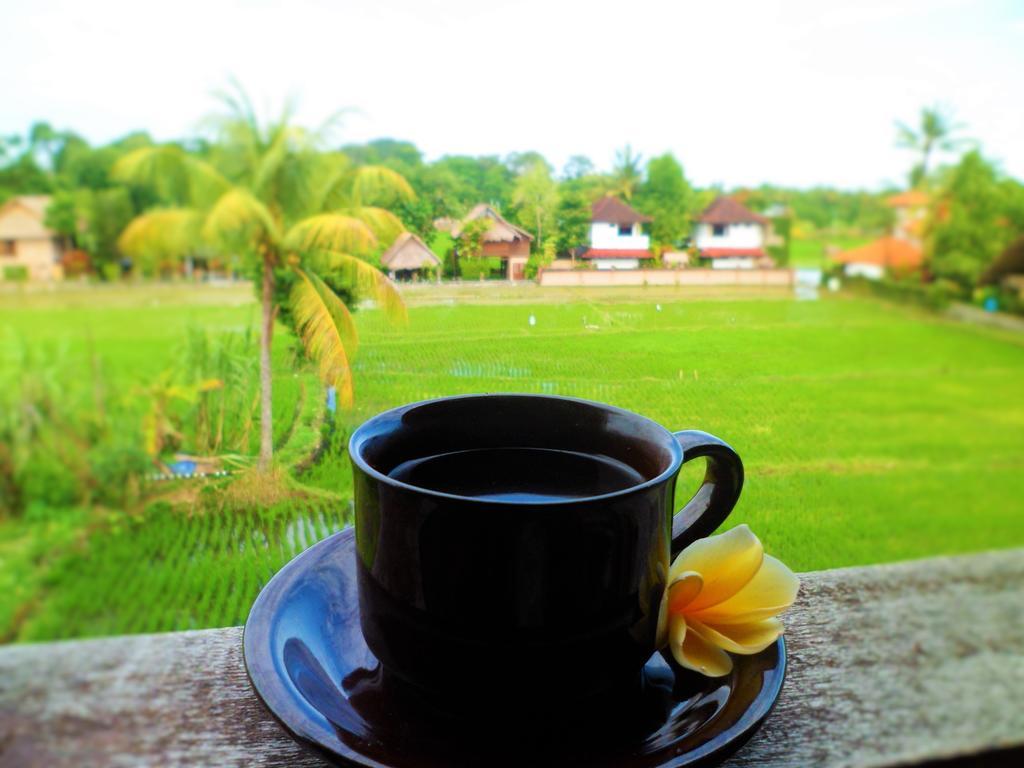 Nuriani Guest house 3*